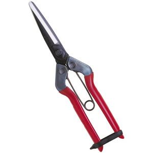 近正 T-700 青果鋏 先丸長刃 袋入 近正 T-700 青果鋏 先丸長刃 袋入