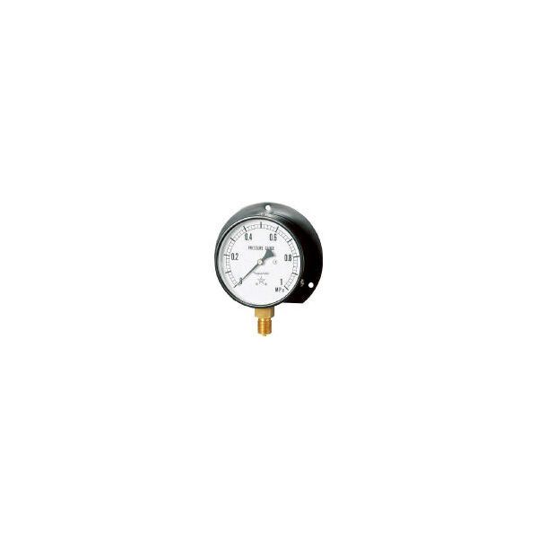 �E�����퐻�� G421-211-V-0.1MP [��ʈ��͌v (B�g���^�E��100 ���̓����W0.0�`0.10MPa)]