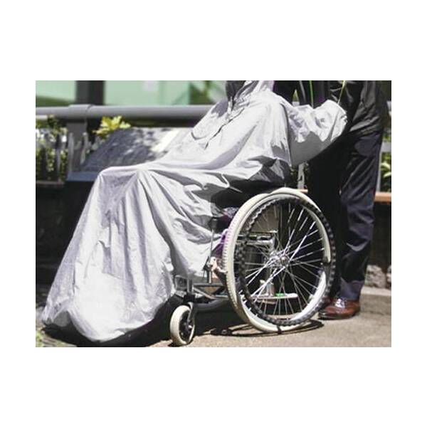 Θa bVtRAKUC Vo[O[ M SR-100SM