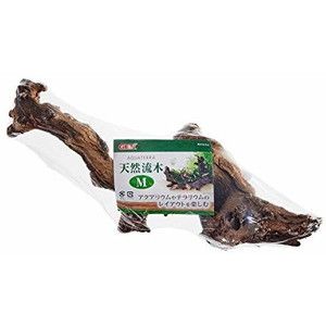 水槽・アクアリウム