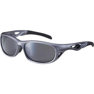 SWANS スワンズ マルチスポーツ F-STX DA MEBK SETUP用フレーム マット