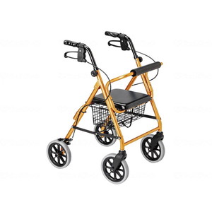 歩行車（屋外）