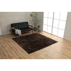 カーペット・ラグ