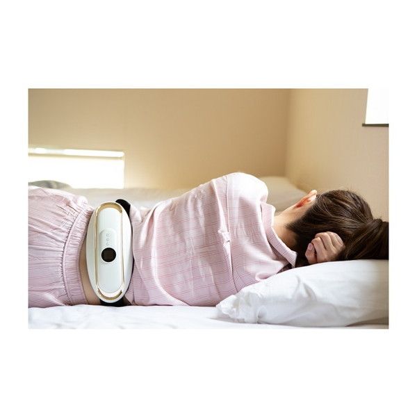 日創プラス_NIPLUX WAISTUPLUS_NP-WP20W_新品未使用品 NIPLUX NIPLUX WAISTUPLUS EMS 腰を温めるグッズ 電気刺激 低周波 温熱