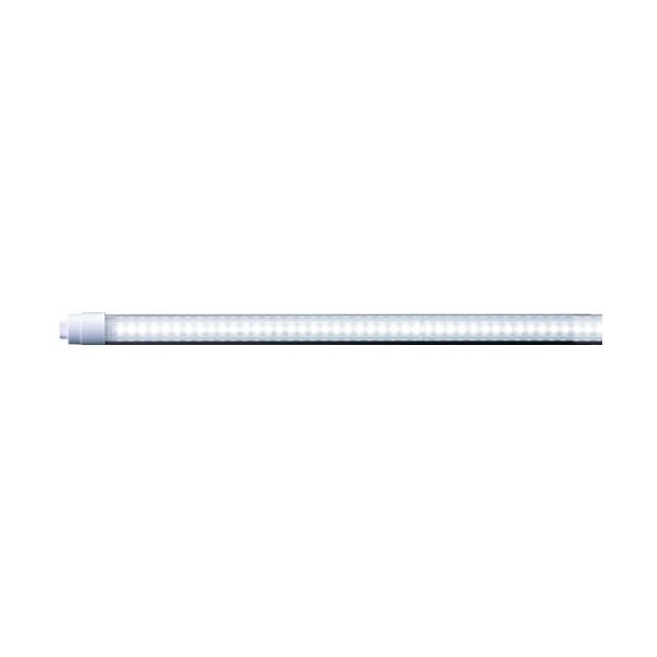 �G���W�[ LS2400-U1-N/B [110�`���\����LED���C�g �u���[���C�g�΍��i �����F]