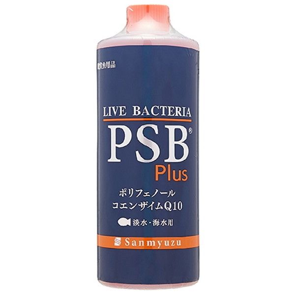 T~[Y PSB Plus 1L