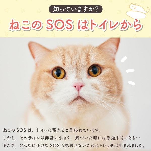 トレッタキャッツ カメラ付きねこトイレ Toletta トレッタサンド