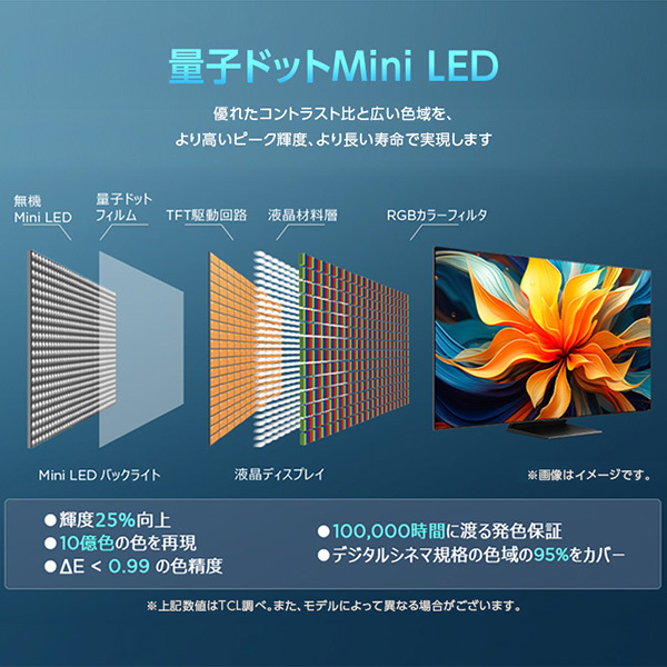 TCL 50C79B [50型 地上・BS・CSデジタル 4K内蔵 miniLED量子ドット液晶