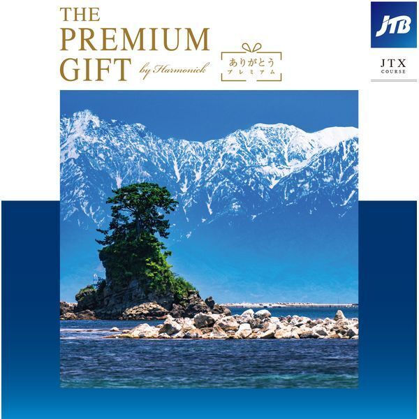 n[jbN JTB肪Ƃv~A JTXR[X J^OMtg [70000~R[X]