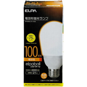 白熱電球・蛍光灯