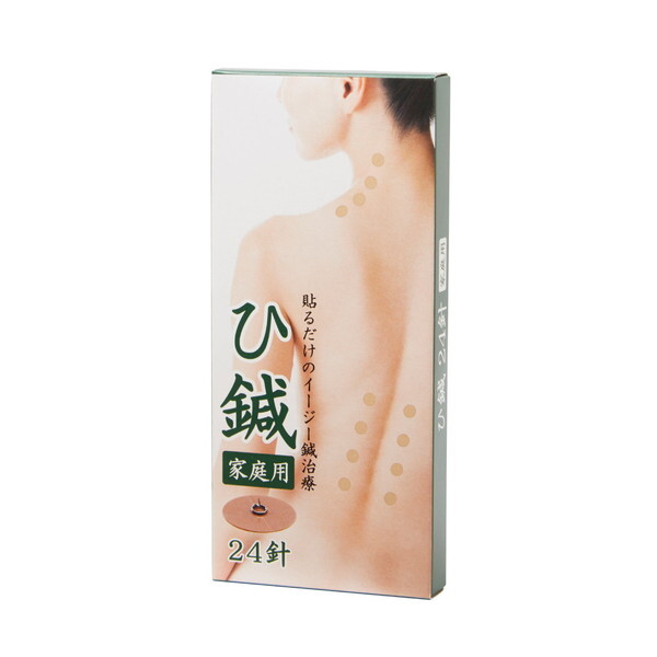 NVI 13024 C[W[I I ƒp 24j