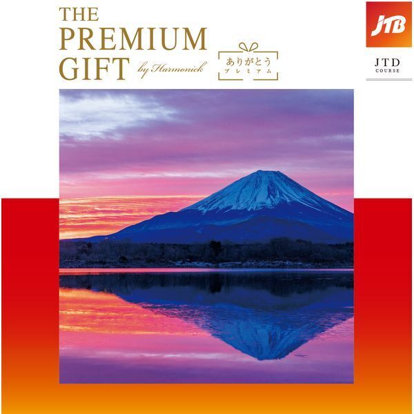 n[jbN JTB肪Ƃv~A JTDR[X J^OMtg [100000~R[X]