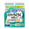 花王 リリーフ 上げ下げらくらくパンツ 2回分 L 2枚