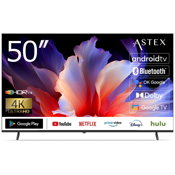 Wis 50GTN [50V�^ 4K Google�`���[�i�[���X �t���e���r]