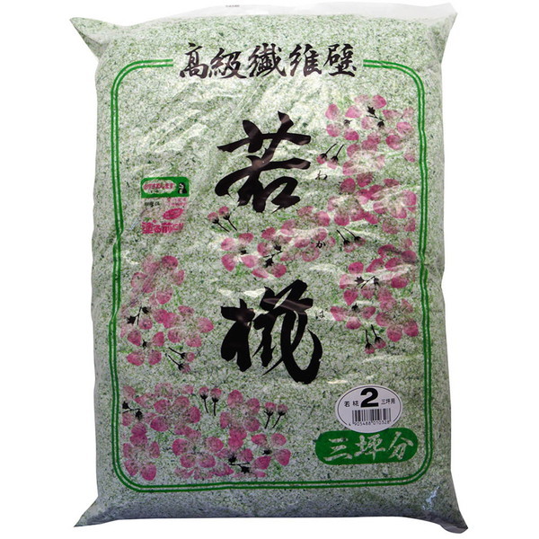 ƒ뉻wH @ە ኑ 2010g(3ؗp) No.2