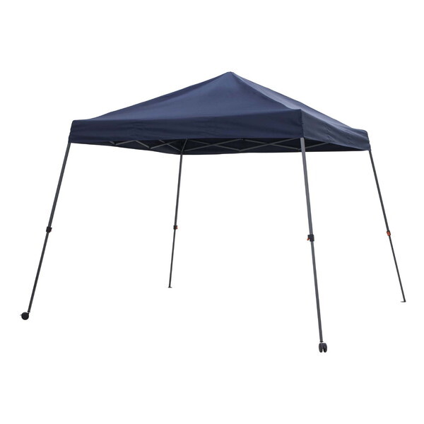 ^JV[ SHR-C01N EGvbVeg lCr[