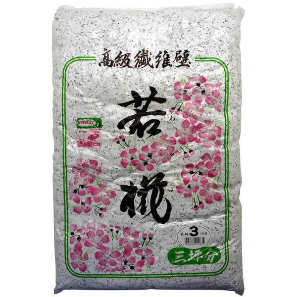 ƒ뉻wH @ە ኑ 2010g(3ؗp) No.3