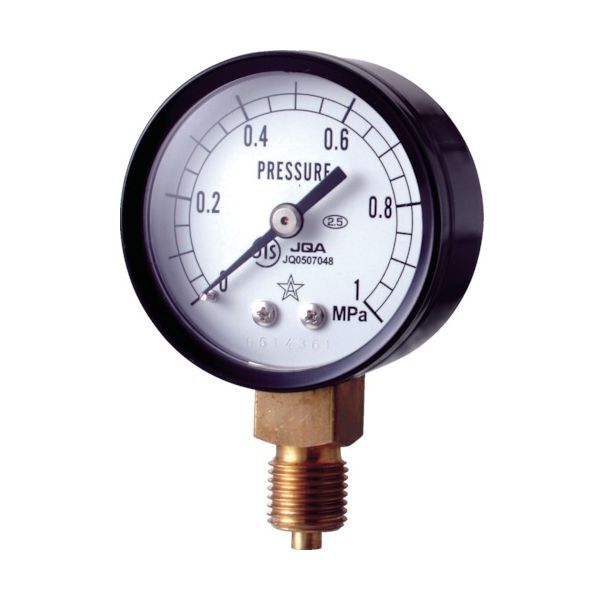 �E�����퐻�� S110MP �X�^�[ (�^��v)