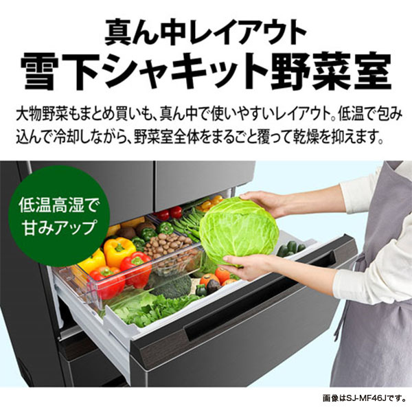 プラズマクラスター搭載ボトムフリーザー冷蔵庫＜ホワイト系＞+標準配送設置サービス　セット