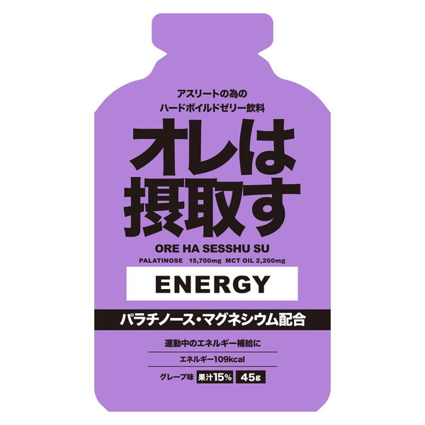 I͐ێ悷 InZbVXGlM[WFO[v 311200 45g