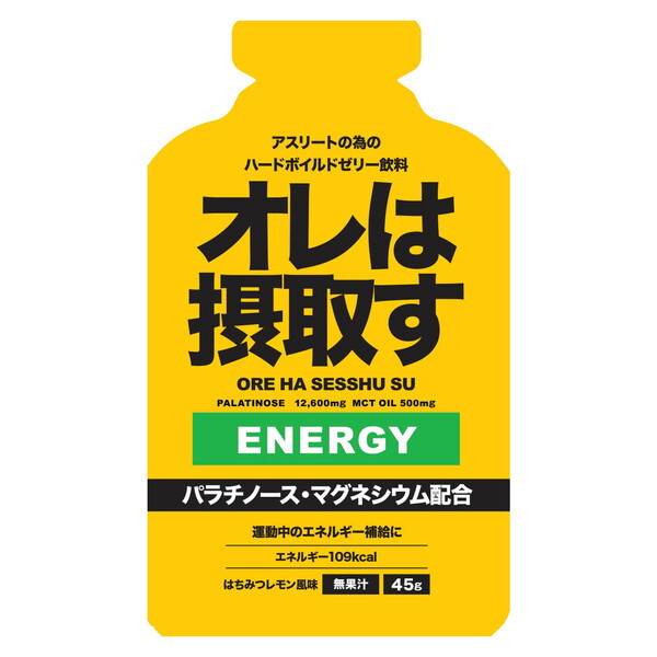 I͐ێ悷 InZbVXGlM[WFn`~c 331200 45g