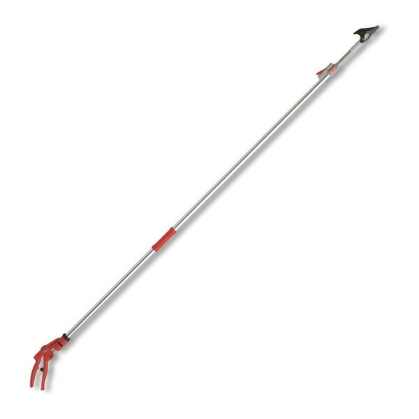 �A���X�R�[�|���[�V���� 150Z-3.0-5D ���C�g�`���L�Y�[�� [�y�ʍ��}��]