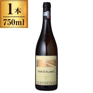 食品・飲料・酒 ヨーロッパ 通販 ｜ 激安の新品・型落ち・アウトレット