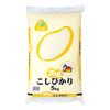 令和七年度産 茨城県産 コシヒカリ 5kg