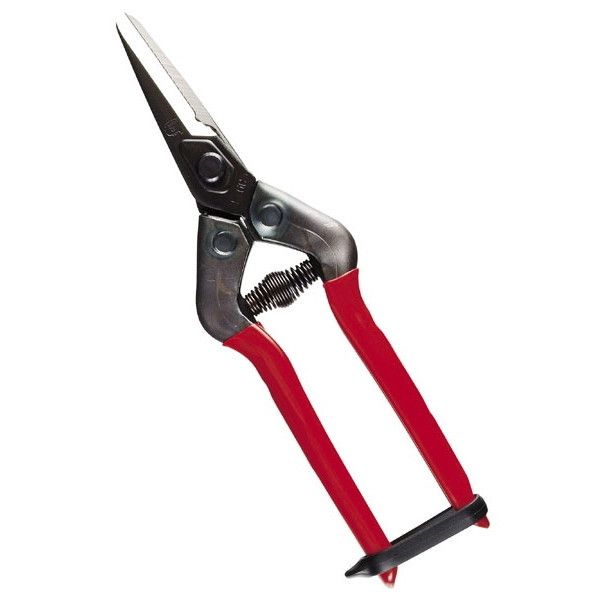 �ߐ� E-6C �_����� �j���ؕt BP