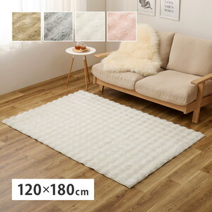 カーペット・ラグ