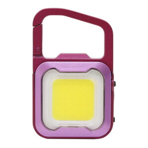 懐中電灯・ライト