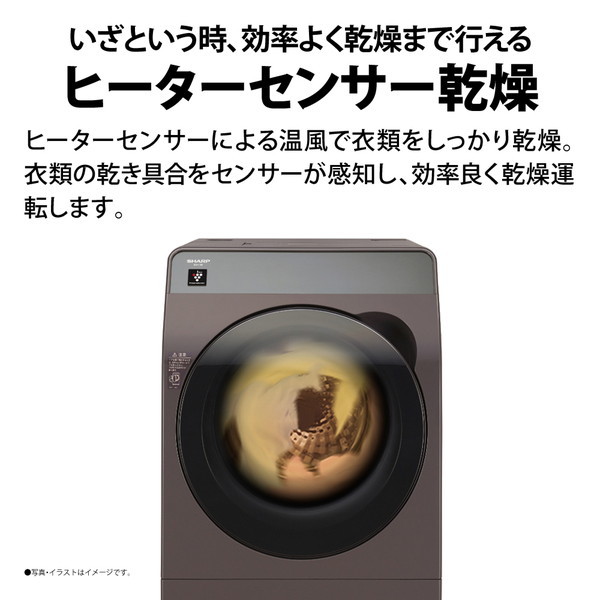 SHARP洗濯機10kg 乾燥付き - 家具