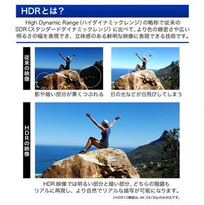 MAXZEN JU55SK04 [55V型 地上・BS・110度CSデジタル 4K対応液晶