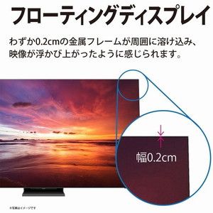 SHARP 8T-C65DX1 AQUOS XLED [65V型 地上・BS・110度CSデジタル 8K・4K 