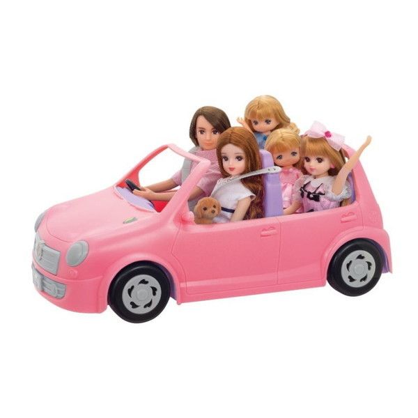 ^Jg~[ J LF-04 ݂Ȃłł J t@~[J[