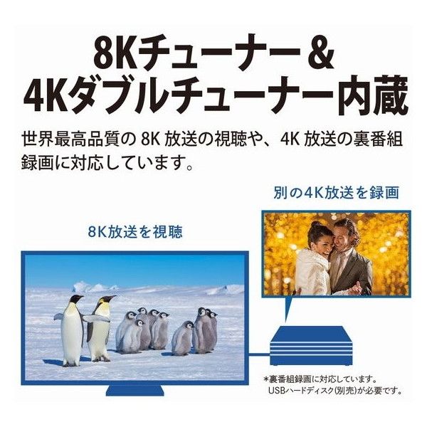 55％以上節約 SHARP 8K対応HDD euro.com.br