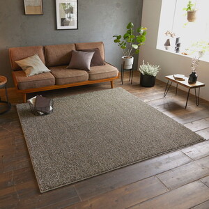 カーペット・ラグ