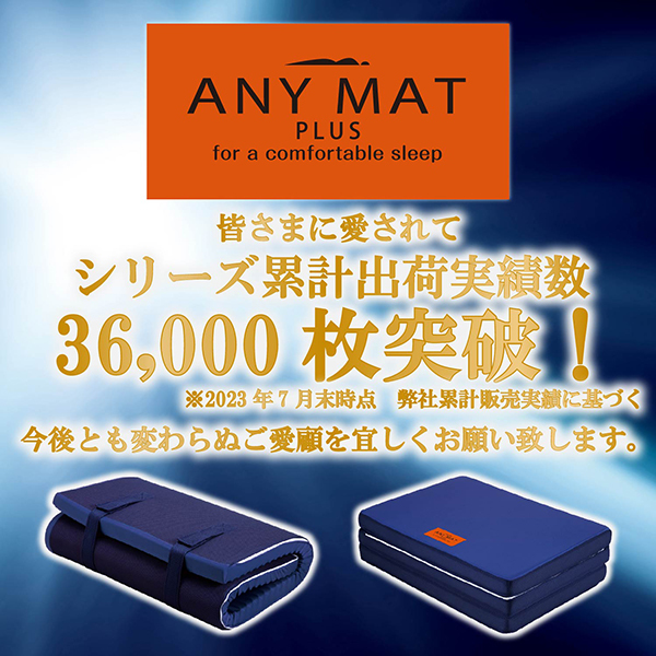 西川 高反発 ウェーブマットレス まくら 2点セット エニーマット 限定