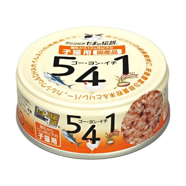 OmHi ܂̓` 541 qLp 70g