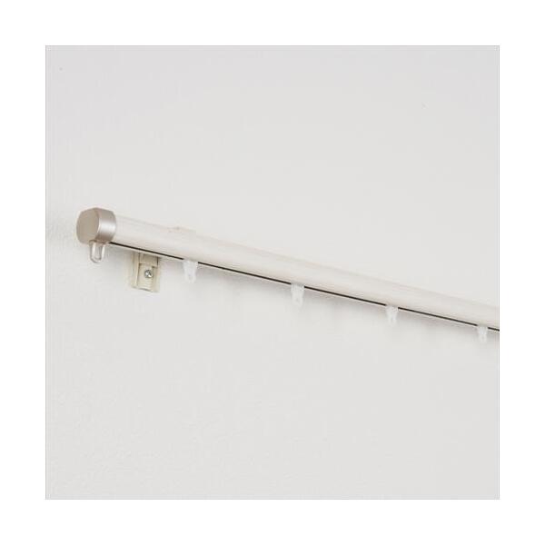 TOSO LkJ[e[ lA ؖڃzCg S2.0m