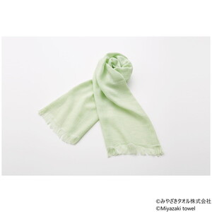 マフラー・スカーフ