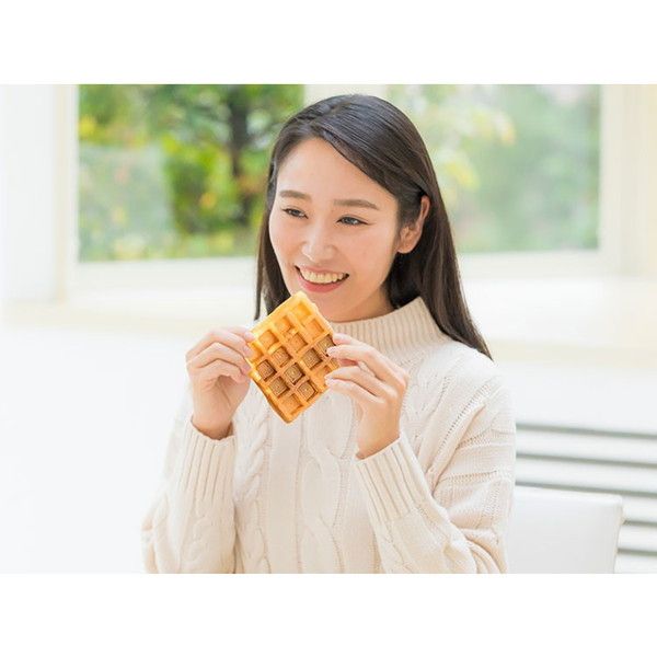 ライソン KDHS-005W 着脱式マルチサンドメーカー3IN1 D-STYLIST