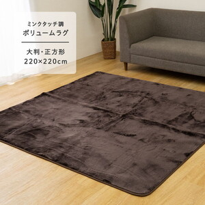 カーペット・ラグ