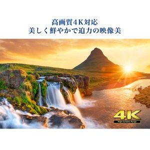 MAXZEN JU50SK04 [50V型 地上・BS・110度CSデジタル 4K対応液晶テレビ 