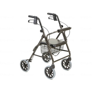 歩行車（屋外）