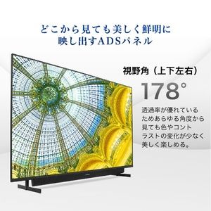 MAXZEN JU65SK04 [65V型 地上・BS・110度CSデジタル 4K対応液晶テレビ]【設置サービス無料】【代引き不可】