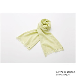 マフラー・スカーフ