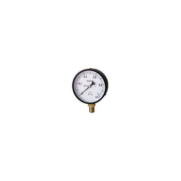 �E�����퐻�� G411-211-M-0.25MP [��ʈ��͌v (A�g���^�E��100 ���̓����W0�`0.25MPa)]