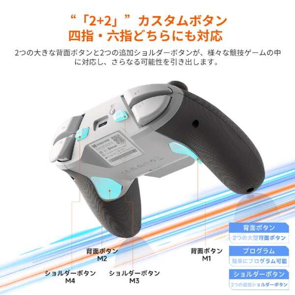 BIGBIG WON Blitz 2 TMR グレー [ワイヤレス&有線ゲーミング