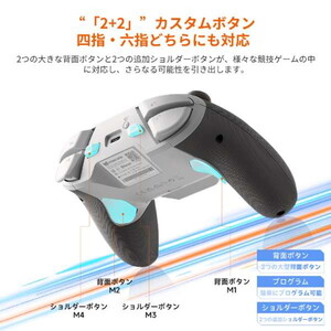 BIGBIG WON Blitz 2 TMR グレー [ワイヤレス&有線ゲーミング